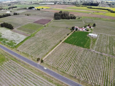 Chacra en venta en Canelones con 2 viviendas y 5.1 Has