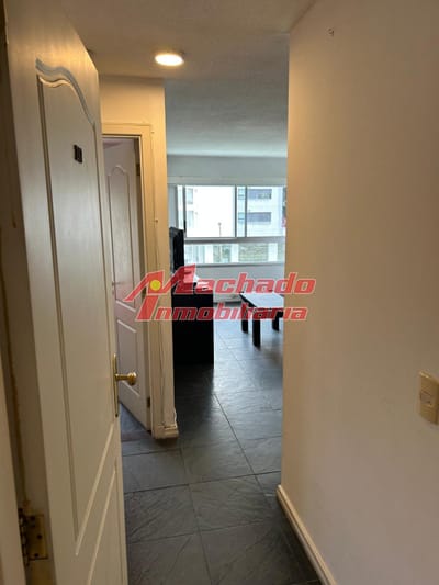 Apartamento de 1 dormitorio en Doce lunas