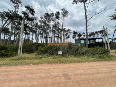 Terreno en Punta Ballena, Ocean Park