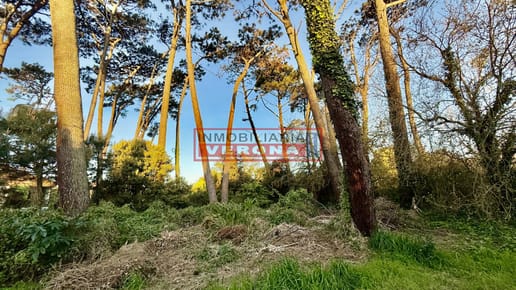 TERRENO EN VENTA MARLY