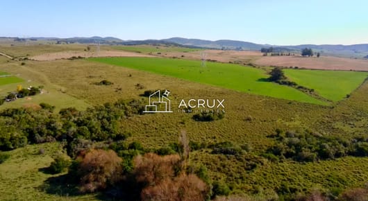 ¡Oportunidad a 4 km de ruta 39 en las Cañas! 2 Chacras de 7 Hectáreas con monte de Eucalipto