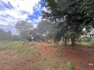 En Venta 3 Terrenos en Costa Sosa - Luque V190