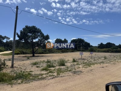 Terreno en Punta Ballena, Tio Tom