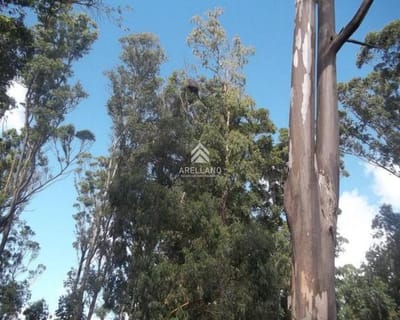 Venta terreno 2500m Solanas