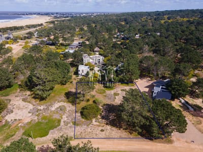 Venta Lote Laguna Escondida Bosque