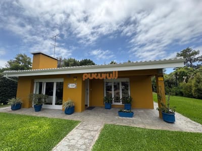 Casa en Punta Ballena, Tio Tom
