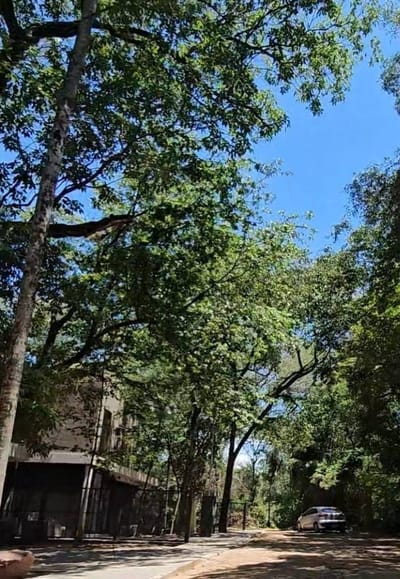 Venta de Terreno en San Bernardino, Cordillera