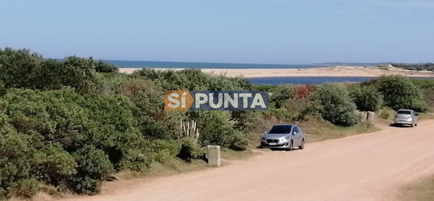 Terreno en Punta Ballena, Chihuahua