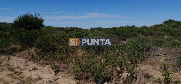 Lote junto al mar