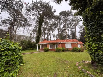 Casa en Punta del Este, Mansa