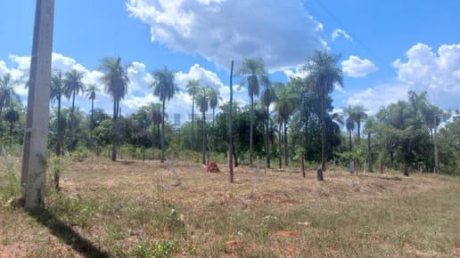 VENDO 2 TERRENOS EN NUEVA COLOMBIA – IDEAL PARA CASA QUINTA