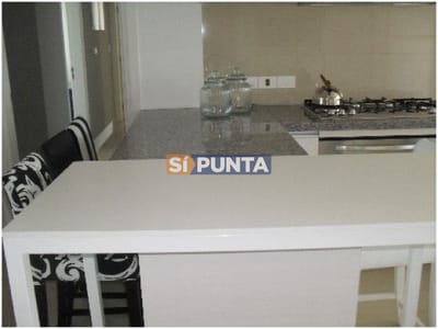 Apartamento en Punta del Este, Brava