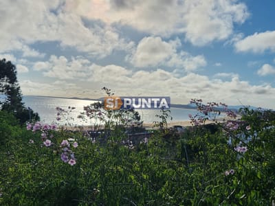 Terreno en Punta Ballena, Rinconada Alta