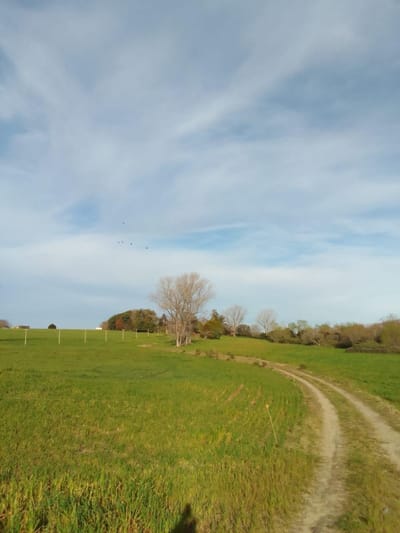 Campo en venta de 58ha ubicado en 18 De Julio