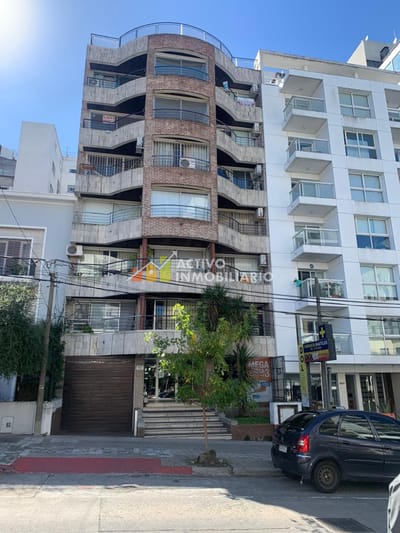 Alquiler monoambiente , super luminoso - Punta carretas