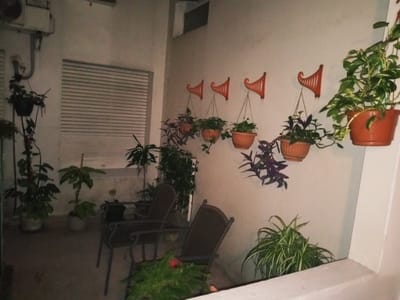 Venta Apartamento Con Renta 1 Dormitorio Jardín Planta Baja En Centro