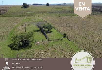 Campo en venta de 259ha ubicado en Piraraja