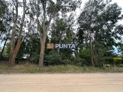 Terreno en Venta El Tesoro
