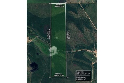 Campo de 296 hectareas en pozo colorado