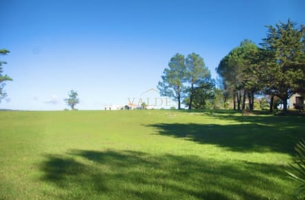 Chacra importante en R. 39 con 700 m2. construidos