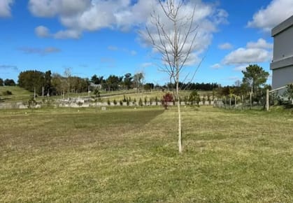 Venta Terreno En Olivos De Los Hornero