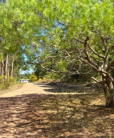 Venta Chacra de 3.2 Hectareas en Canelones