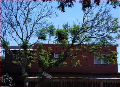 Venta de casa en Brio. odizio, 6 dormitorios, 3 baños, para vivir todo el año.