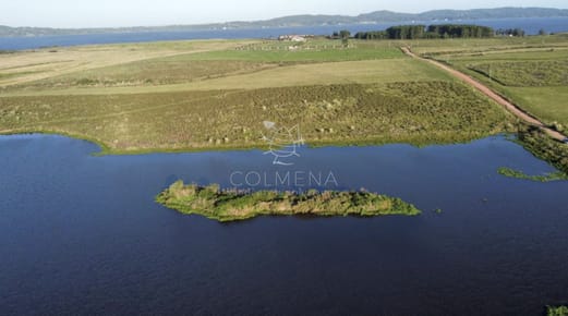 Chacra 5 has 6000 m2 en Laguna del sauce