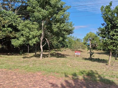Oportunidad Única: Venta de 2 Terrenos Estratégicos en Villa Elisa - Zona Mbocajaty