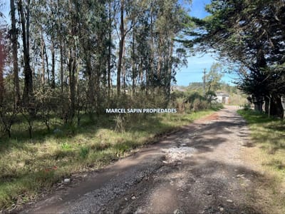 Chacra o Campo en Venta