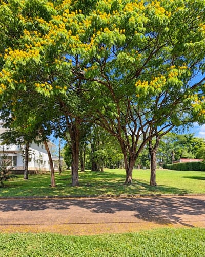 En Venta Terreno Paraná Country Club