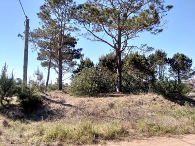 SE VENDE TERRENO EN LA VIUDA PUNTA DEL DIABLO