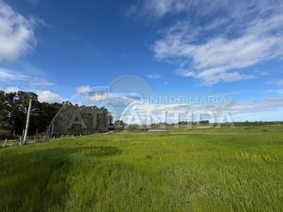 Alquiler De Hermoso Campo, 3 Hectareas, Camino Delgado, A 15 Minutos De Atlantida. Inmo Atlantida