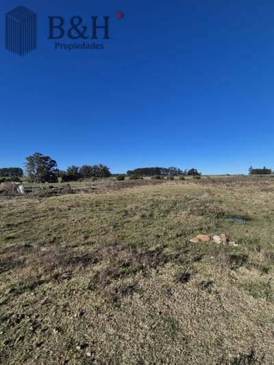 Campo en San Carlos,