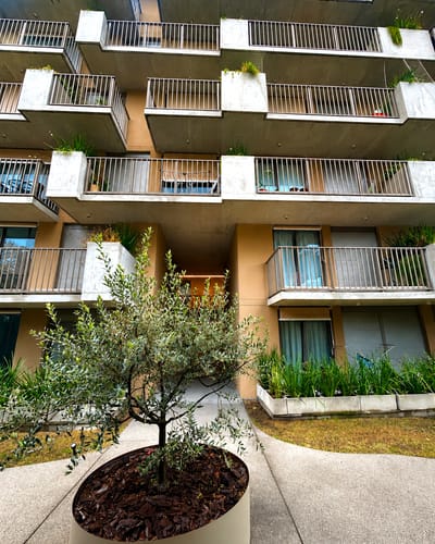 ÚLTIMA UNIDAD | 1 DORMITORIO CON PATIO – VIVIENDA PROMOVIDA – LA BLANQUEADA