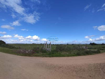 Venta en oportunidad, chacra en venta de 3 has en Pueblo Eden