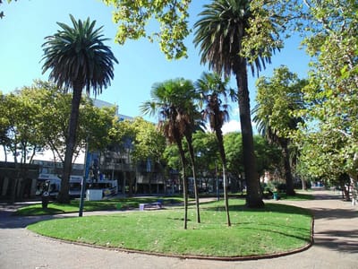 APTO EN EXCELENTE PUNTO PASOS MDEO SHOPPING Y ZOO , AMPLIO Y SOLEADO !!! G.COM. BAJOS!!!