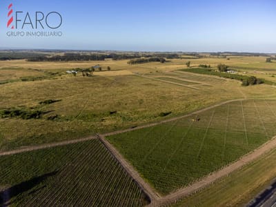 Chacras a minutos de José Ignacio con vistas a viñedos