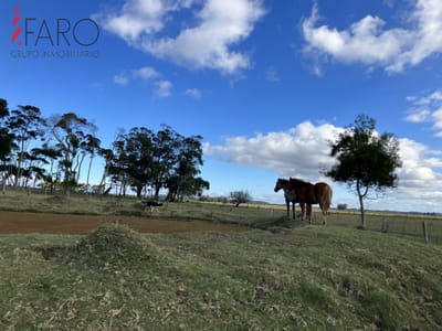 Campo en venta en Paraje Garzón.