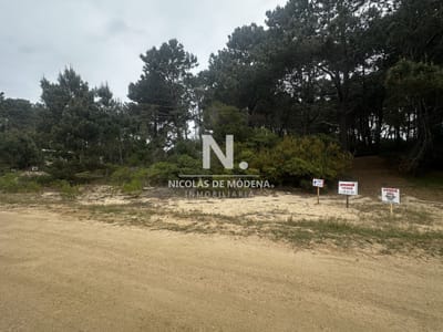 Tu Espacio Ideal en Punta Ballena: Terreno de 1000 m² en Chihuahua