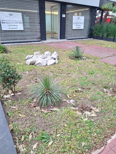 Vendo local comercial, amplio, moderno y estratégicamente ubicado.