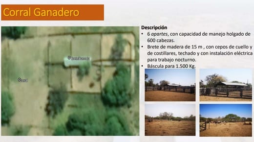VENTA DE ESTANCIA, SUPERFICIE DE 1.197 Ha, COMPLETAMENTE ALAMBRADAS.