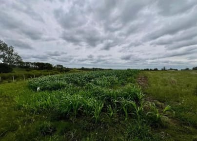 Venta Chacra - Terreno 1,6 Hectáreas En Ciudad De Migues