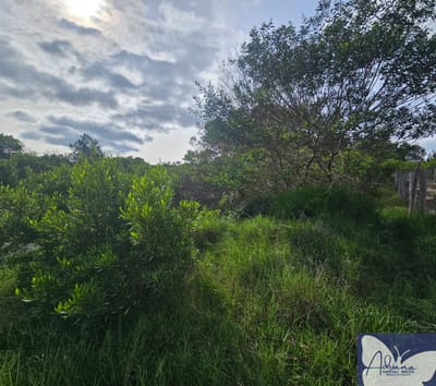 Hermoso terreno en venta en Chihuahua-cerca del mar