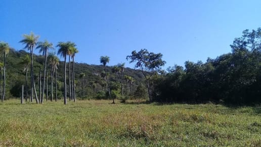 VENTA DE TERRENO – 15 HECTÁREAS EN CAACUPÉ?