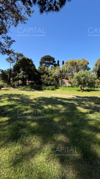 Terreno en venta en barrio Cantegril Punta del Este