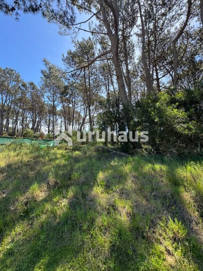 VENTA LOTE RESERVA MONTOYA LA BARRA