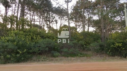Terreno en venta Chihuahua  - Ref : PBI904