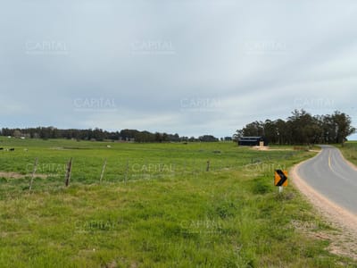 Chacra en Ruta 104 - Manantiales