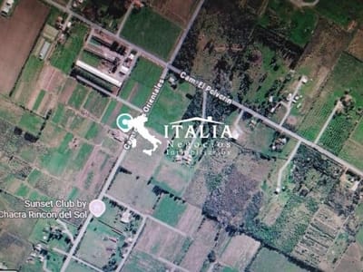 CAMPO DE 30000 M2 CON PRODUCCIÓN DE VID